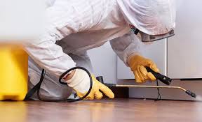 Best Pest Exclusion Services  in Mccordsville, IN